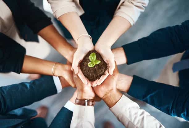 Hands holding soil with a plant.