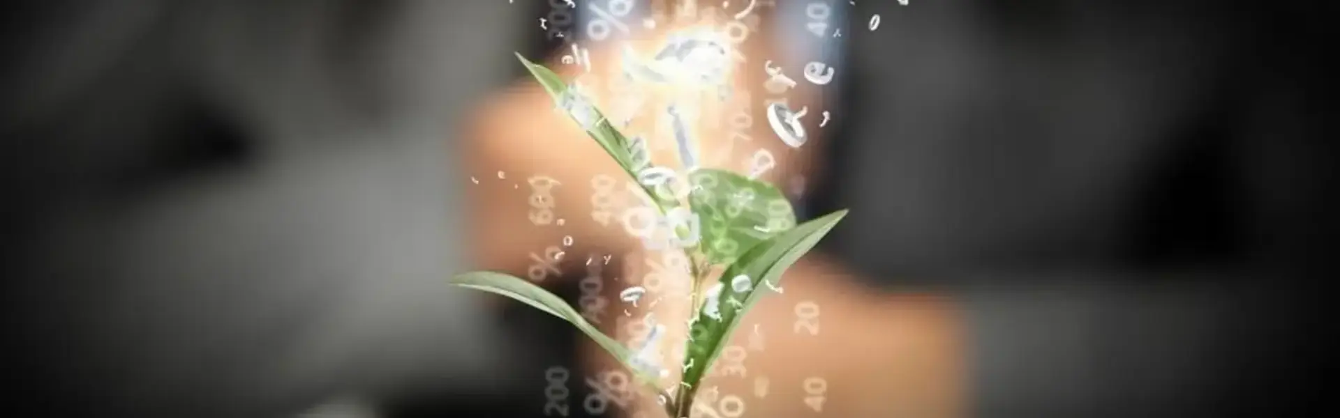 Green plant surrounded by floating financial data – ESG asset manager recruitment driving sustainable capital growth