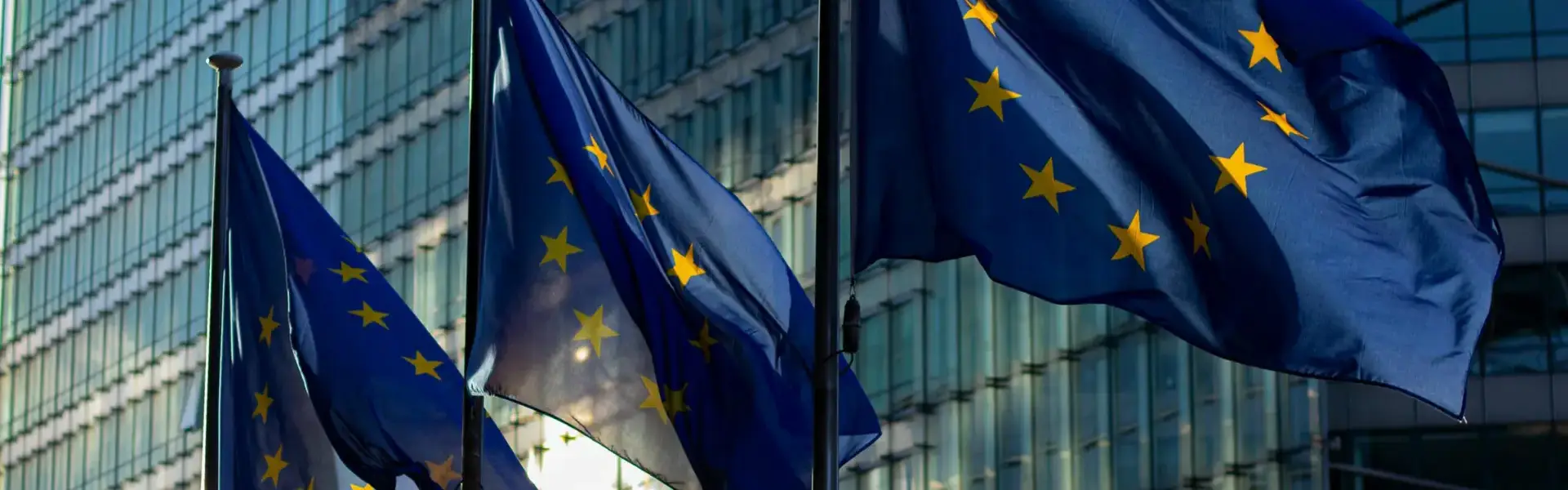 EU Omnibus regulation, what it means for the sustainability job market
