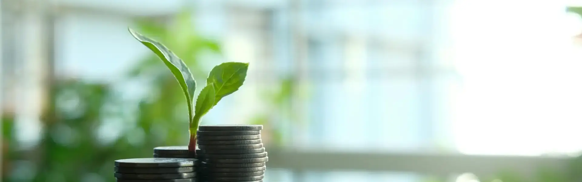 Stacked coins illustrating the future of green finance