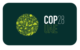 COP 28