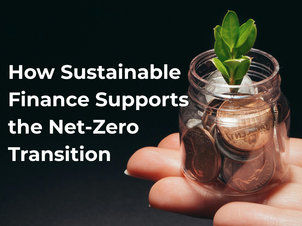 How sustainable finance supports the net-zero transition