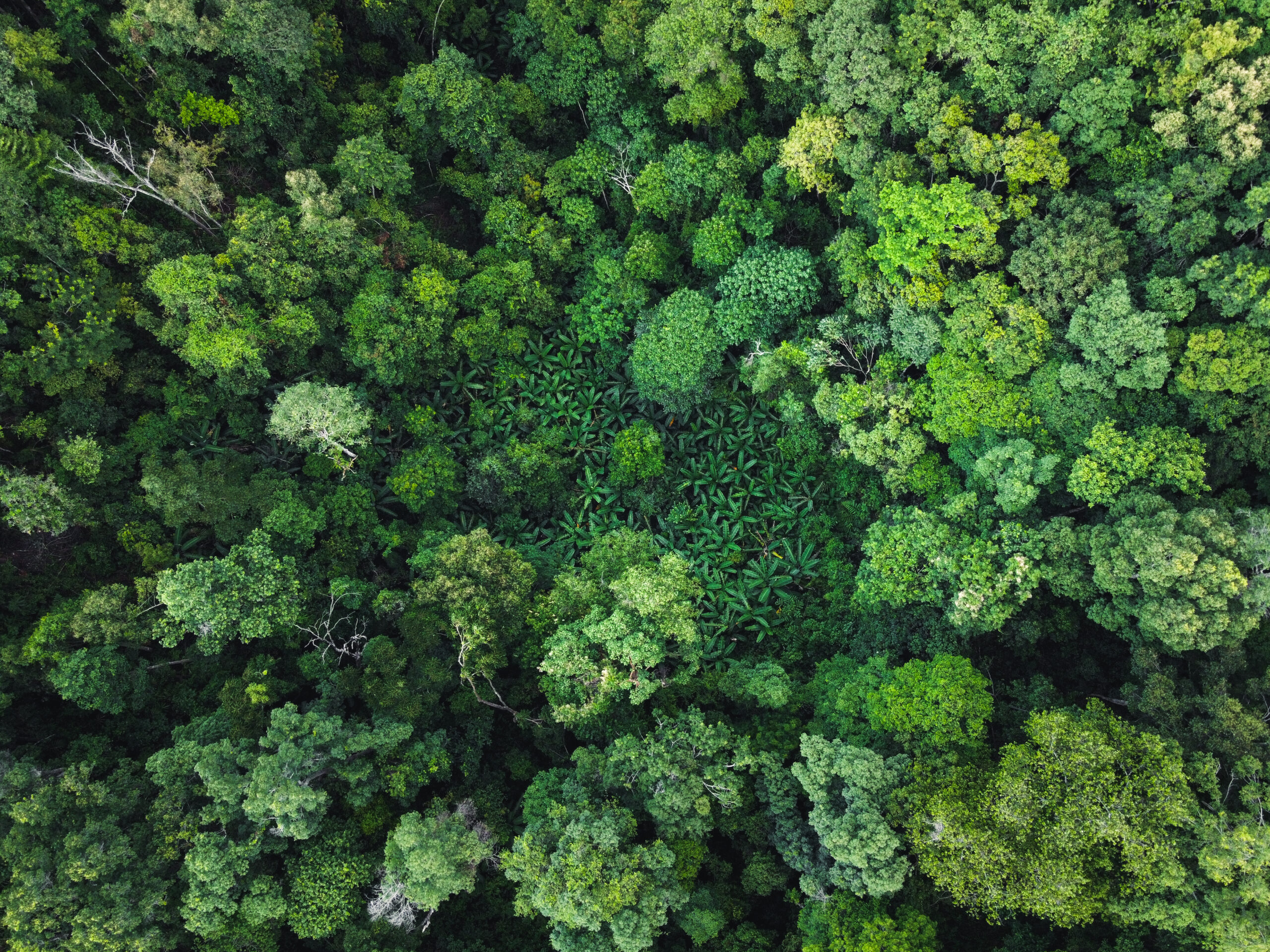 environmental recruitment