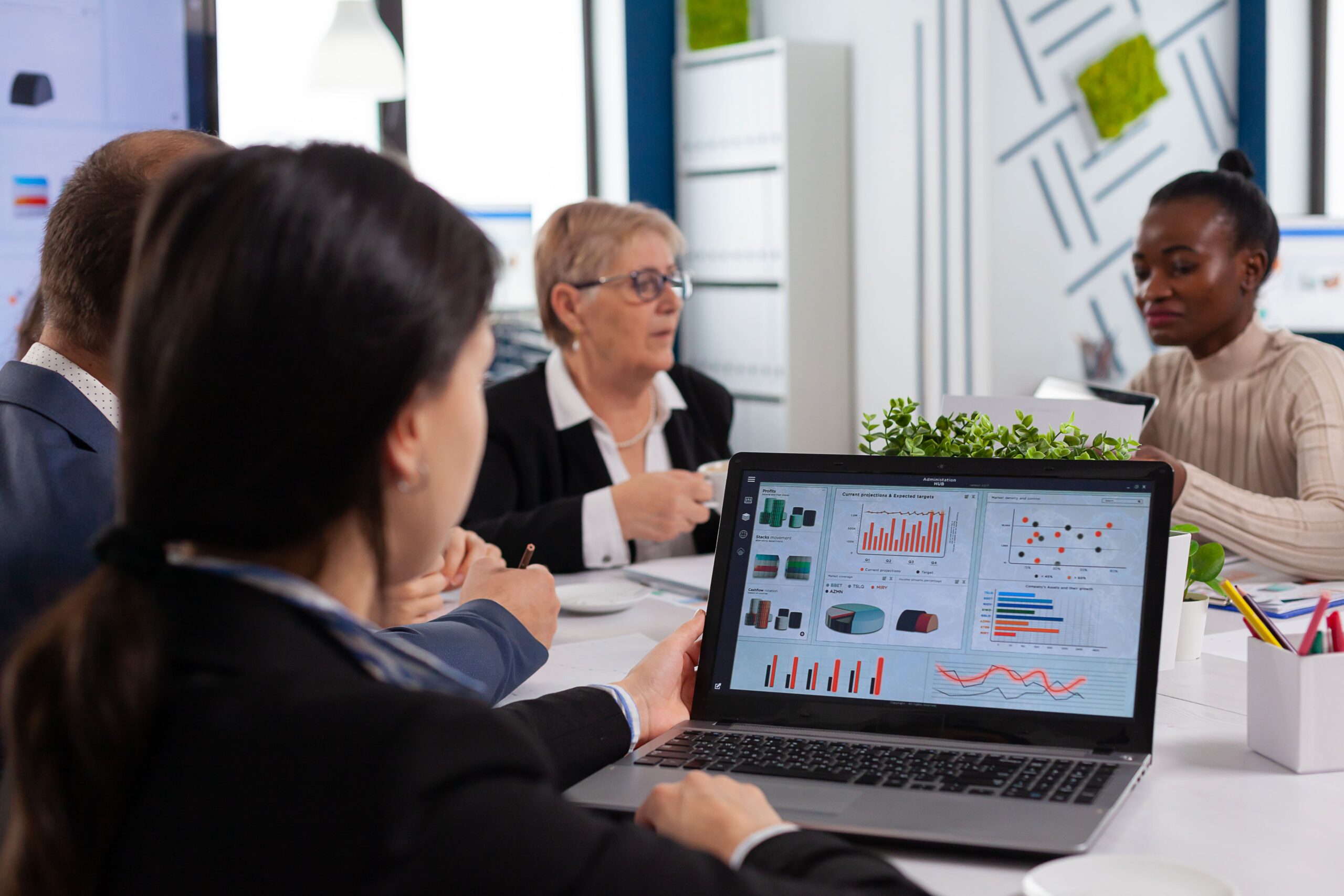 Renewable Energy Investment Manager