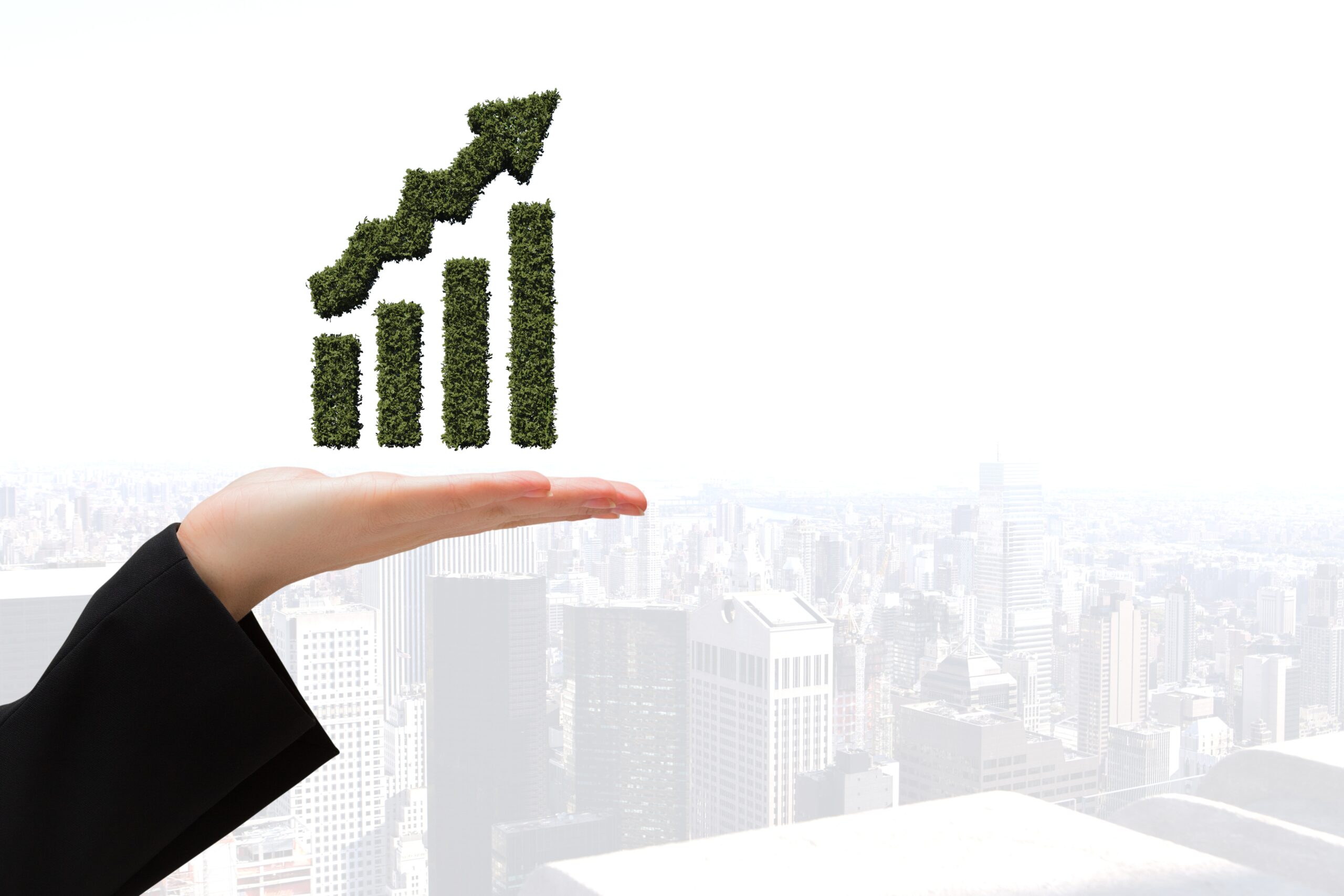 profit and purpose