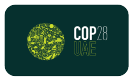 COP 28