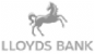 loyds ban